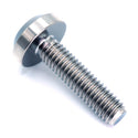 M6 Titanium Bolt