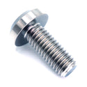 M8 Titanium Bolt