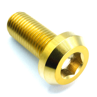 Buy gold M10 x 1.25 x 25mm Titanium Motor Head Bolt by Dress Up Bolts