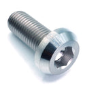 M10 x 1.25 x 25mm Titanium Motor Head Bolt by Dress Up Bolts