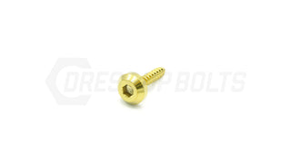 Buy gold M5 x 2.0 x 25mm Titanium Motor Head Screw by Dress Up Bolts