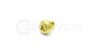 Buy gold M10 x 1.50 x 15mm Titanium Motor Head Bolt by Dress Up Bolts