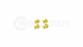 Buy gold Dress Up Bolts Titanium Hardware Headlight Kit - Toyota Supra MKIII (1986-1992)