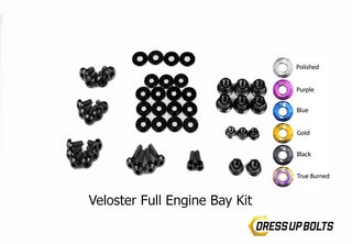 Buy black Dress Up Bolts Stage 2 Titanium Hardware Engine Bay Kit - Hyundai Veloster (2012-2018)