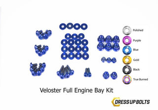 Buy blue Dress Up Bolts Stage 2 Titanium Hardware Engine Bay Kit - Hyundai Veloster (2012-2018)