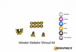 Buy gold Dress Up Bolts Titanium Hardware Radiator Shroud Kit - Hyundai Veloster (2012-2018)